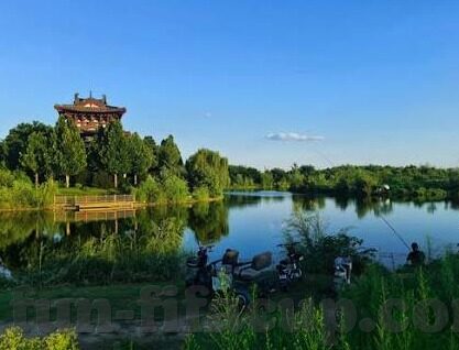 瑞士世界杯后防线-瑞士世界杯后防线，稳固如盾，铸就奇迹的防线